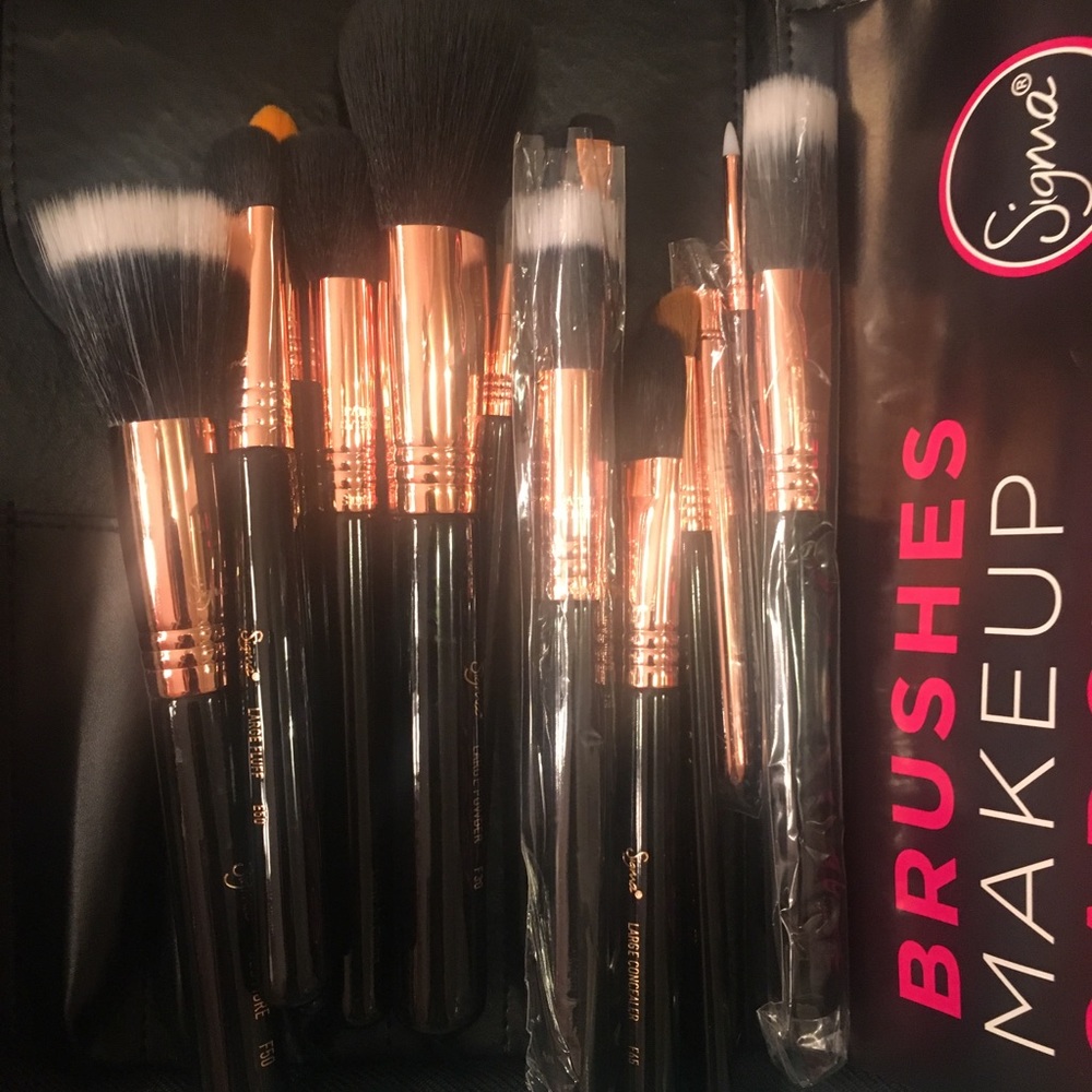 Lot of 15 Sigma Copper Extravaganza Brush Set